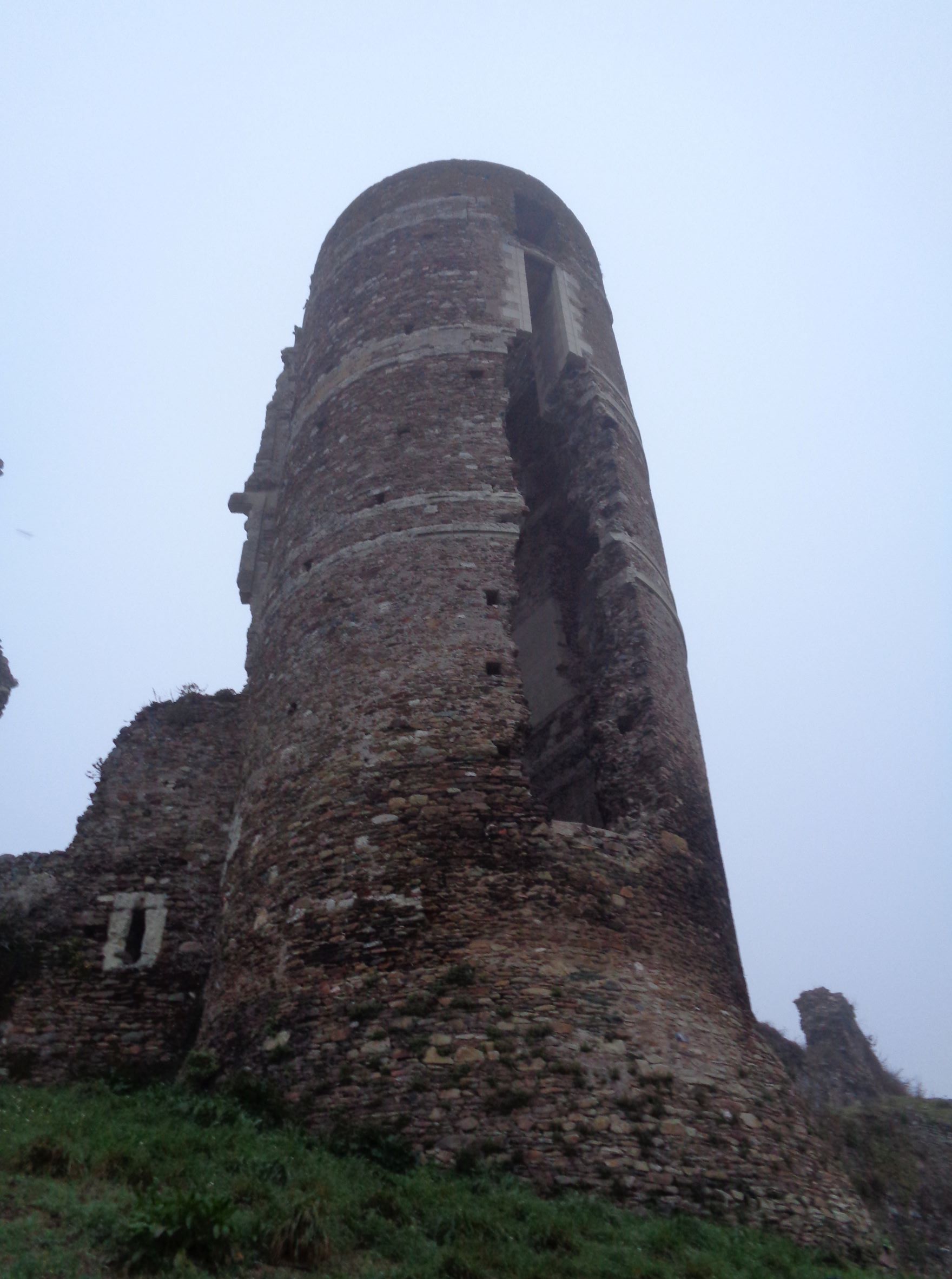 Champtose sur Loire castle ruins tower out feb22
