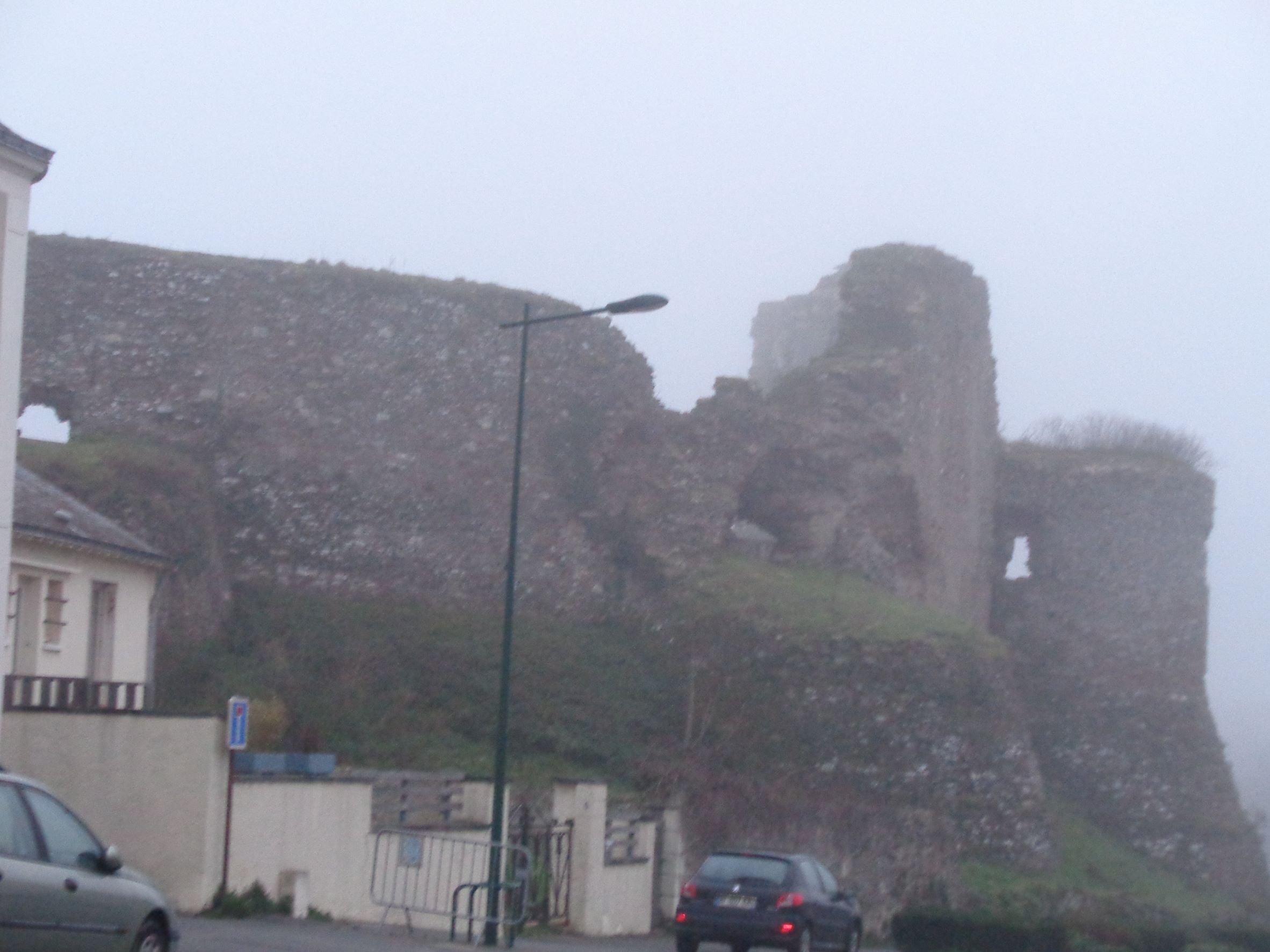 Champtose sur Loire castle ruins tower wall feb22