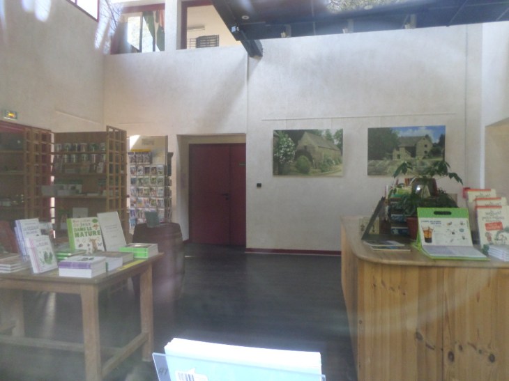 SAMSUNG CAMERA PICTURES