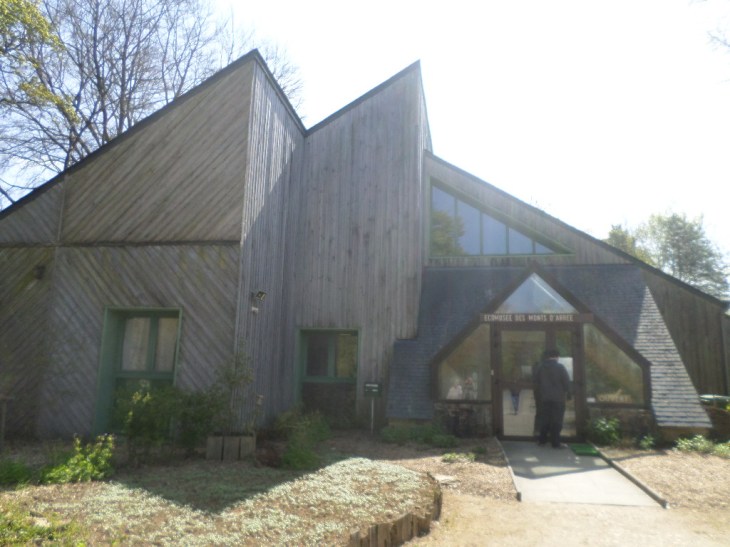 SAMSUNG CAMERA PICTURES