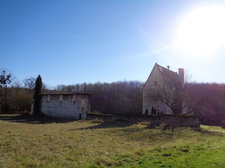 St Benoit la foret abbey Turpenay main feb22