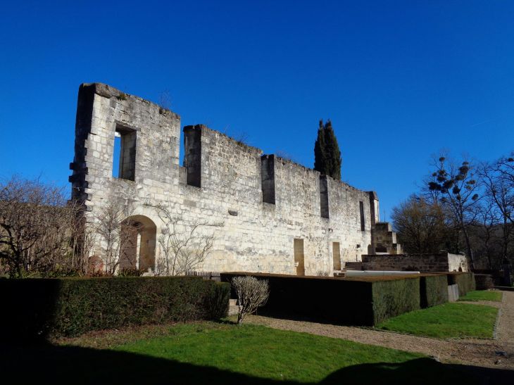 St Benoit la foret abbey Turpenay wall inside feb22