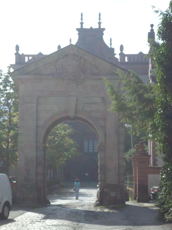 SAMSUNG CAMERA PICTURES