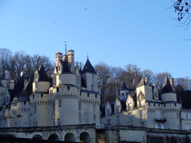 Usse castle towers et logis feb22
