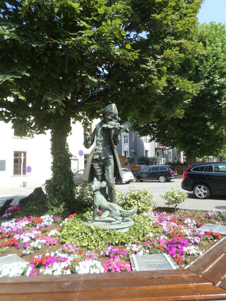 SAMSUNG CAMERA PICTURES