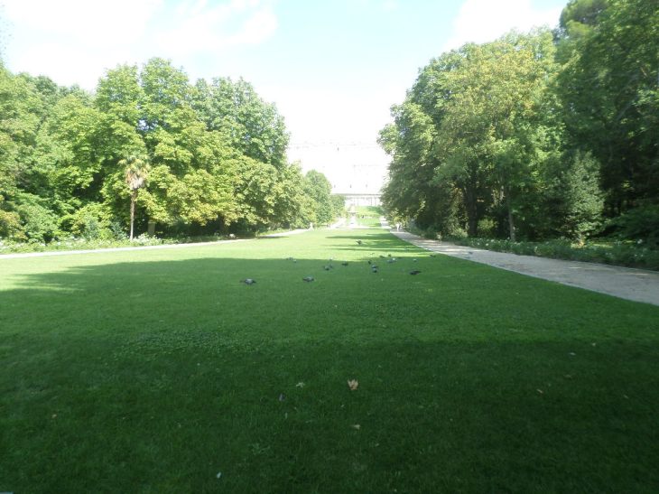 SAMSUNG CAMERA PICTURES