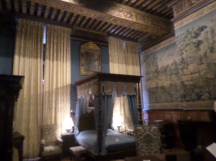 SAMSUNG CAMERA PICTURES