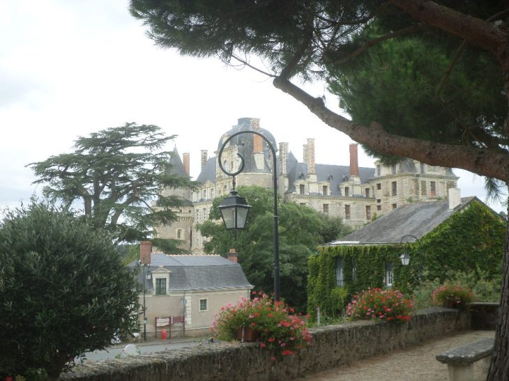 SAMSUNG CAMERA PICTURES