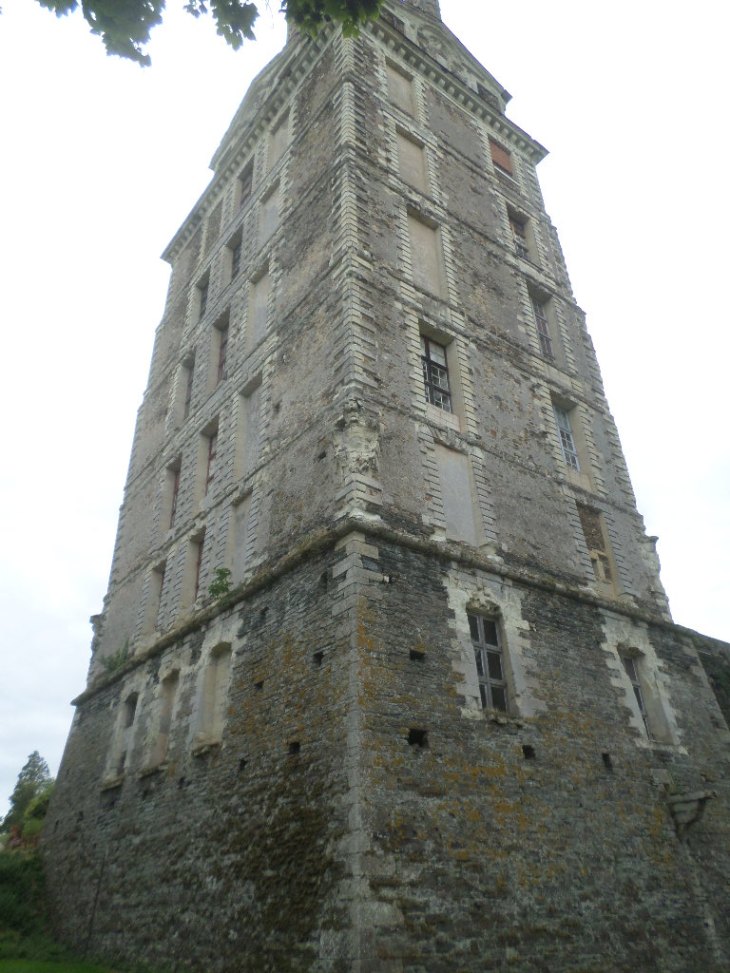 SAMSUNG CAMERA PICTURES