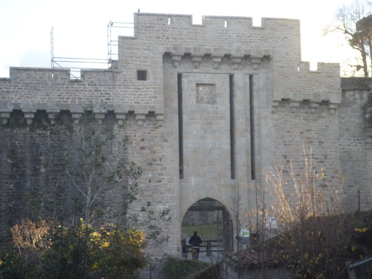 SAMSUNG CAMERA PICTURES