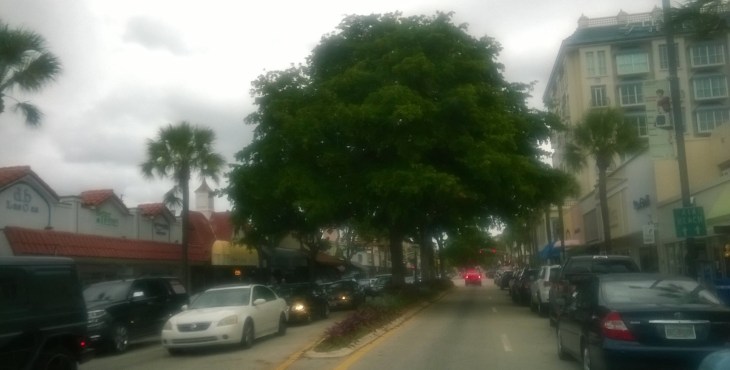 fll-las-olas-blvd-nov15