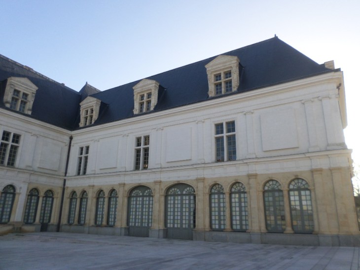 SAMSUNG CAMERA PICTURES