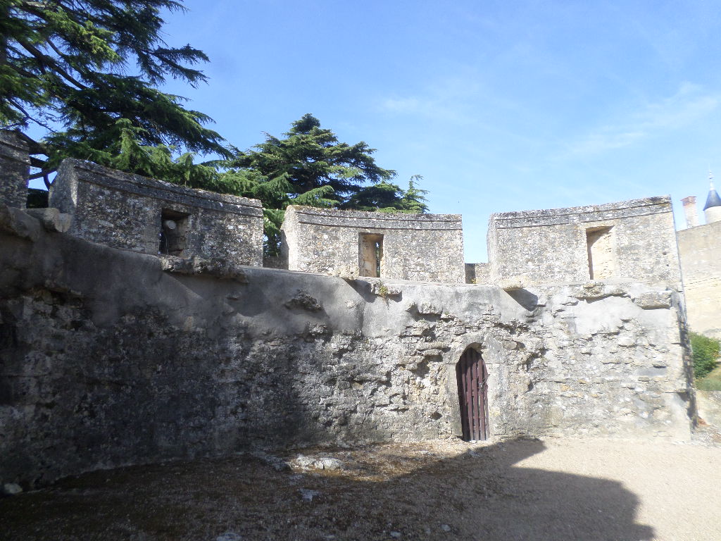 SAMSUNG CAMERA PICTURES