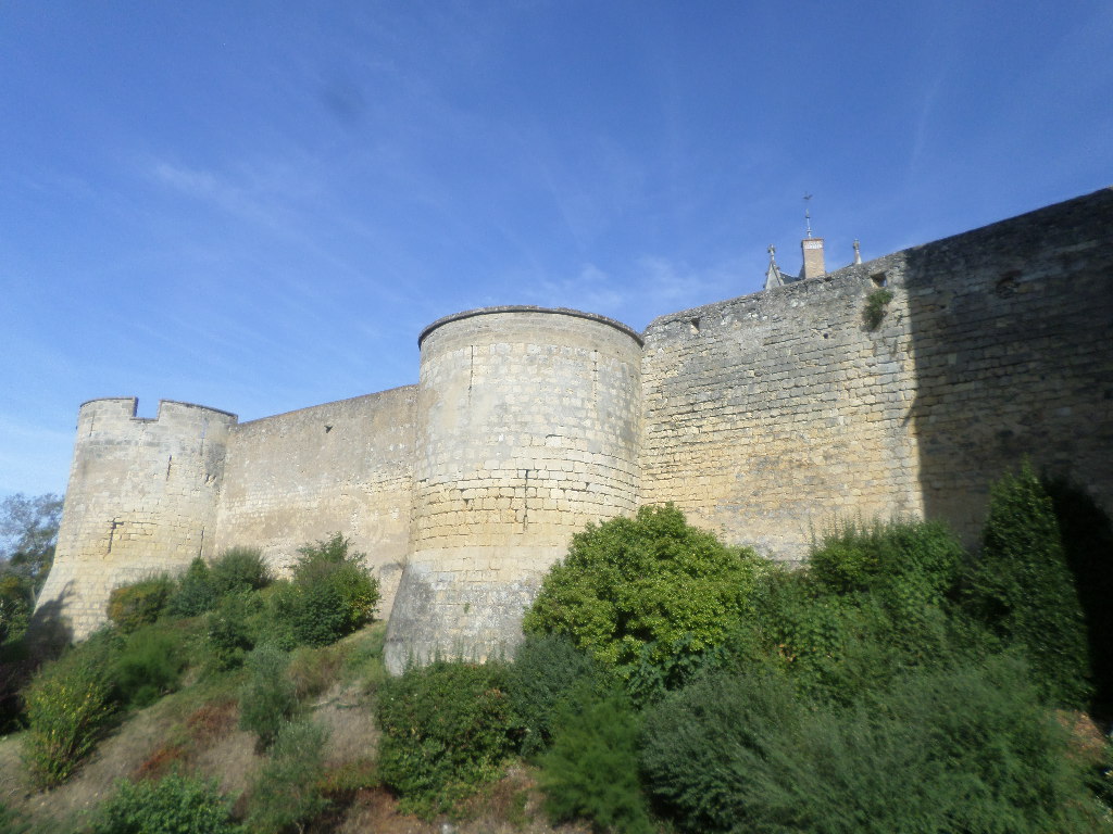 SAMSUNG CAMERA PICTURES