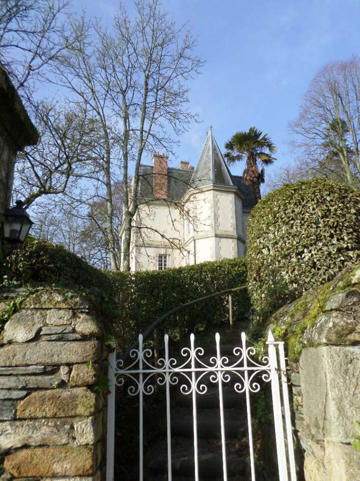 SAMSUNG CAMERA PICTURES