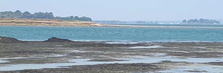 st-armel-ile-de-tascon-ahead-road-to-enezy-isle-apr19