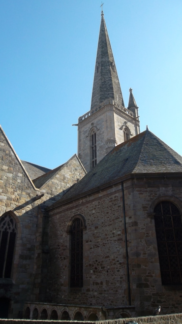 st malo cat st vincent rear aug12