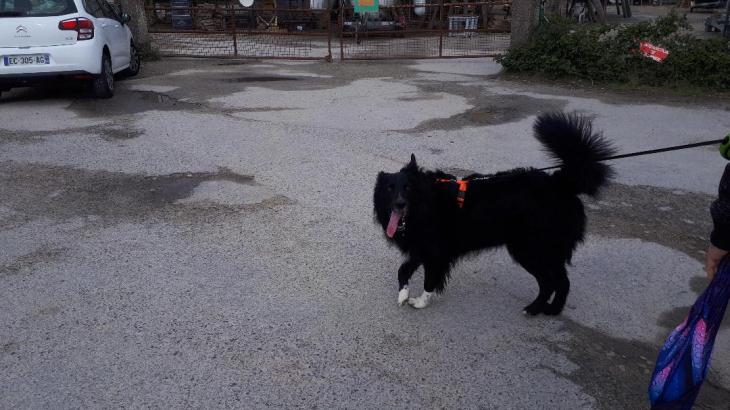 Vannes pointe des emigres Rex in parking apr22