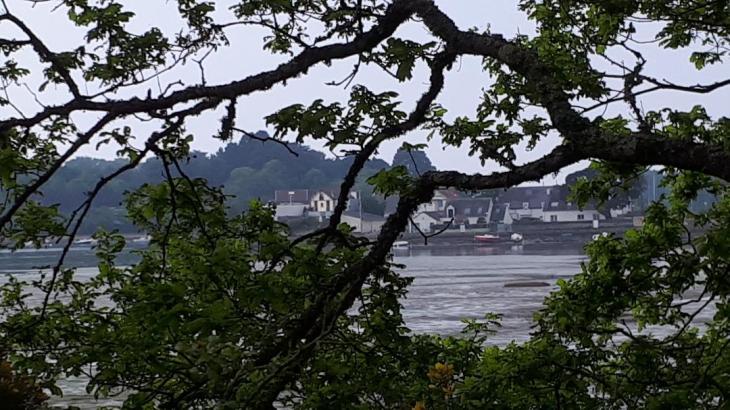 vannes pointe des emigres trees to conleau apr22