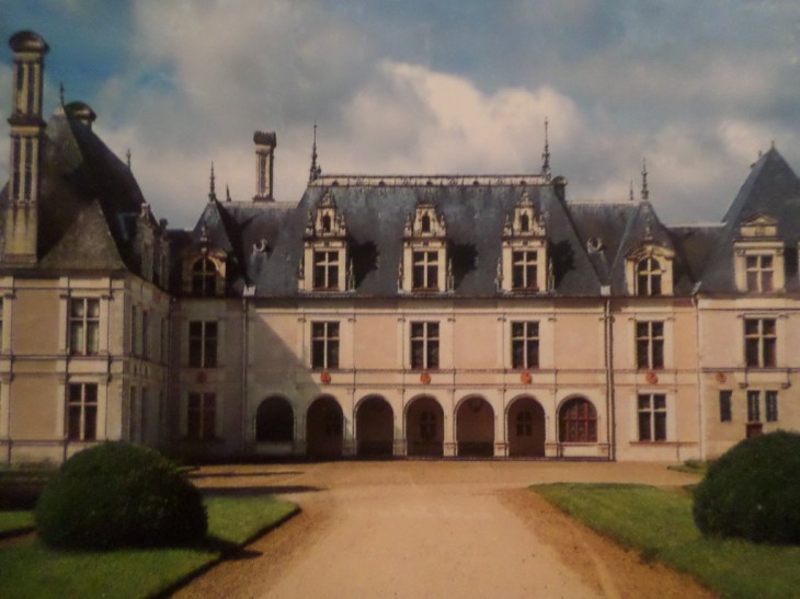 SAMSUNG CAMERA PICTURES