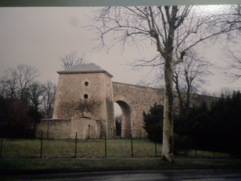 SAMSUNG CAMERA PICTURES