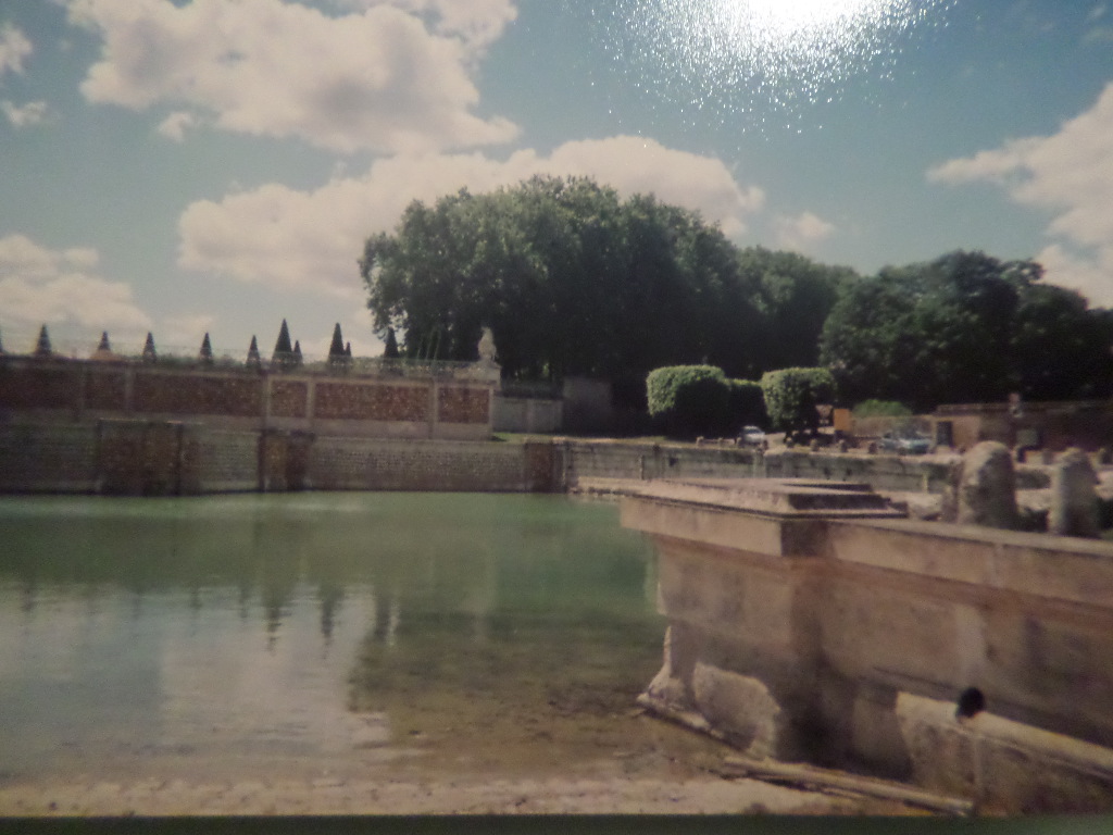 SAMSUNG CAMERA PICTURES