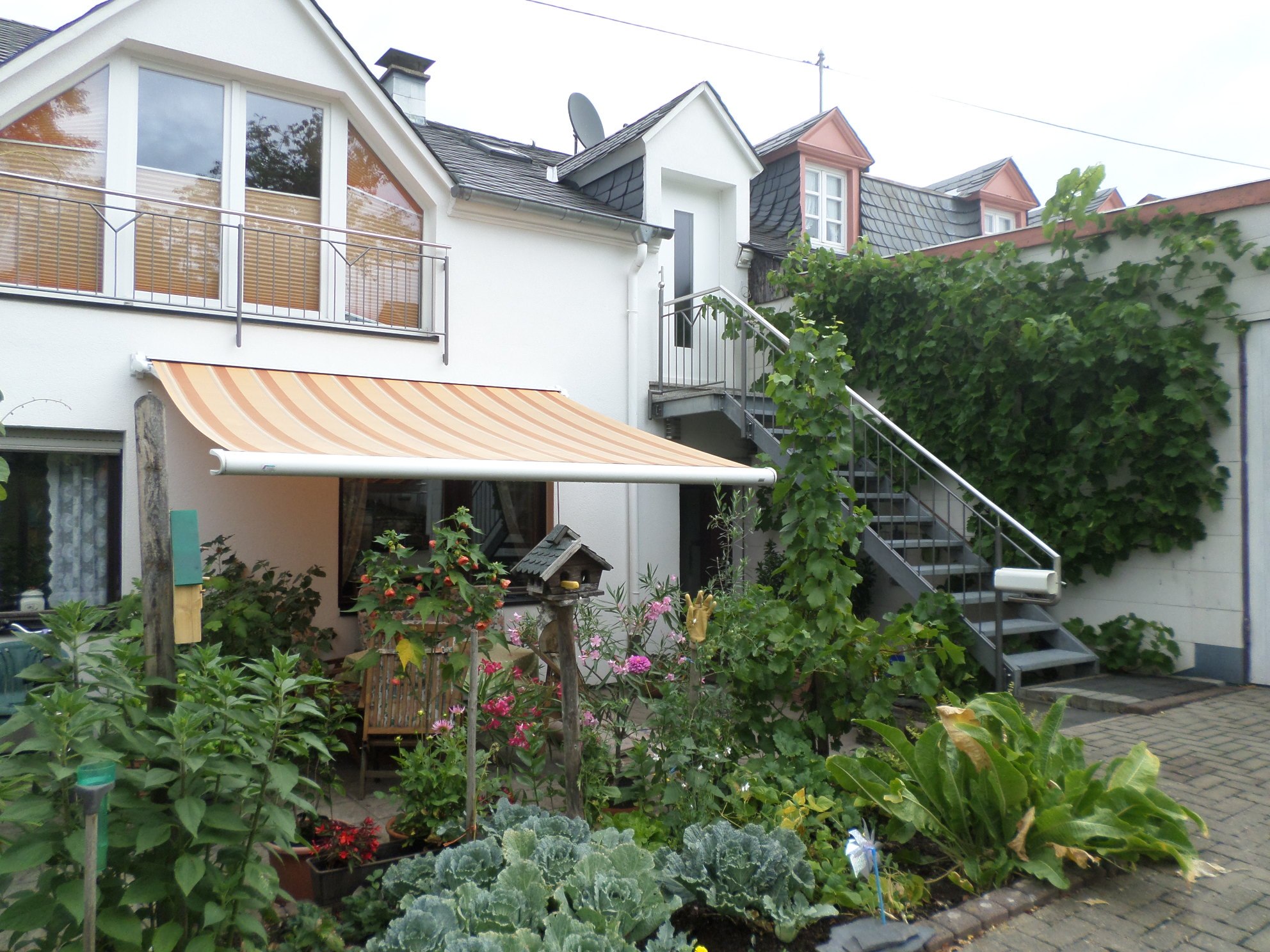 SAMSUNG CAMERA PICTURES