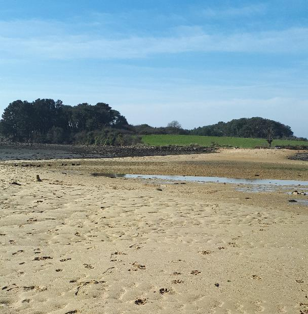 baden-crossing-sept-iles-arriving-main-ile-feb19