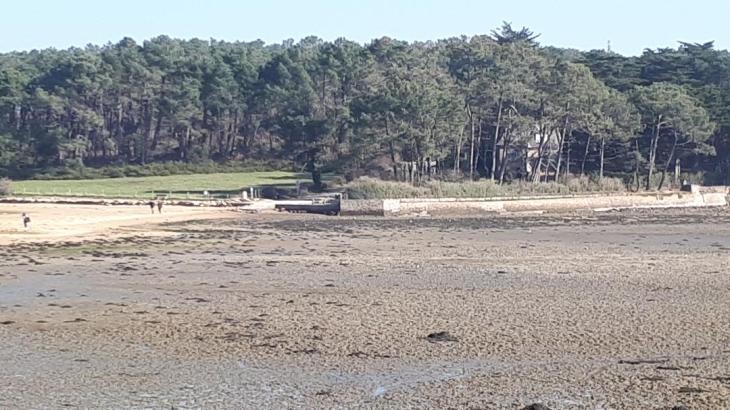 baden-crossing-sept-iles-from-main-ile-to-parked-car-feb19