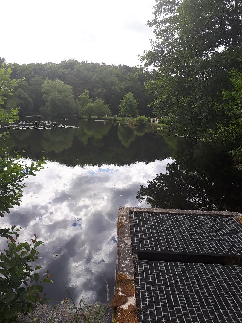 Camors ruisseau du moulin la Motte to utopia jun22