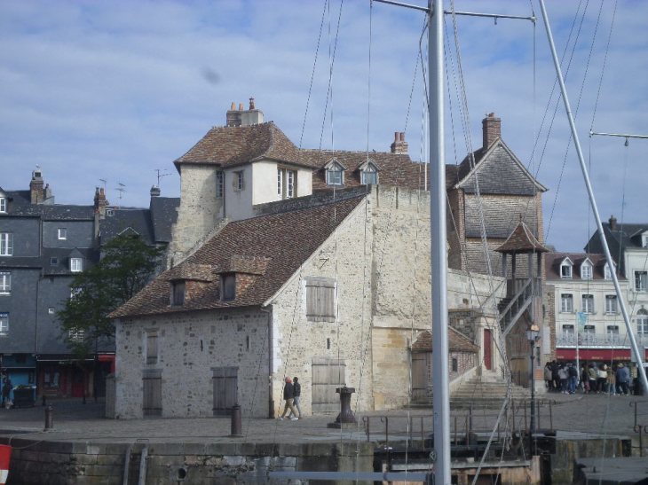 SAMSUNG CAMERA PICTURES