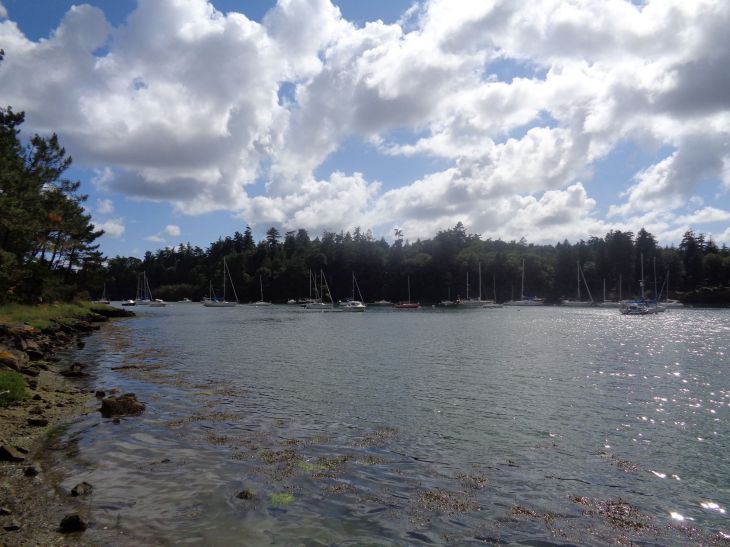 Le Bono bay Auray river far jun22