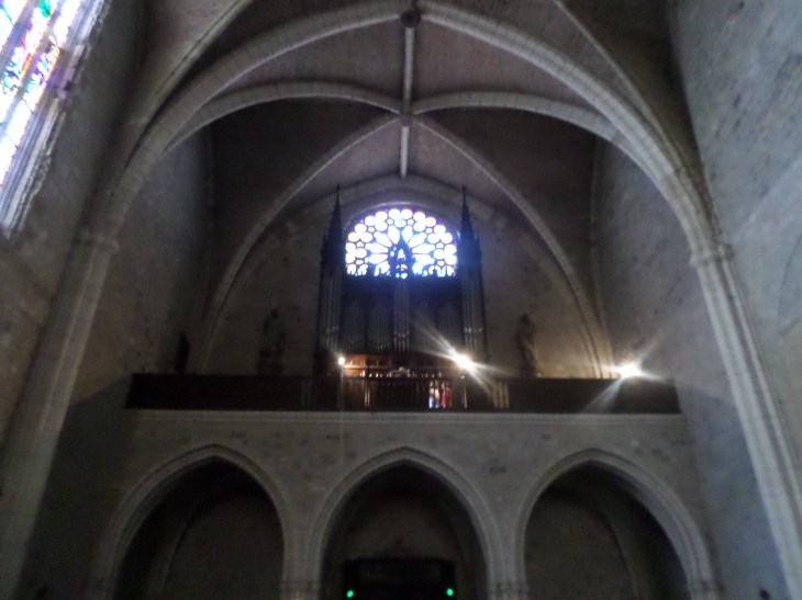 SAMSUNG CAMERA PICTURES