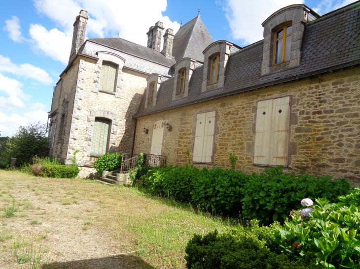 Pluneret chat Kerisper front jun22