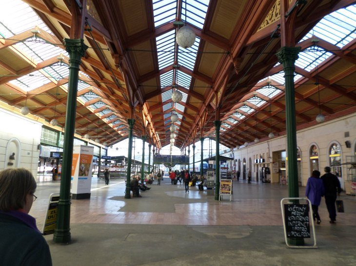 SAMSUNG CAMERA PICTURES