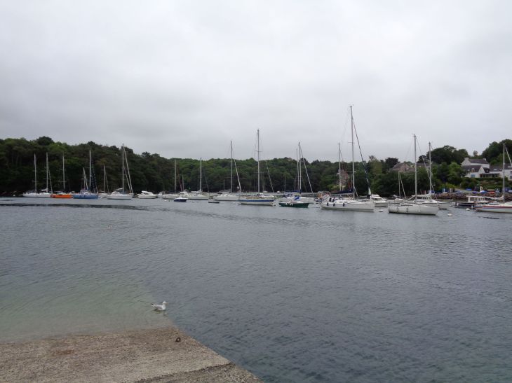 Riec sur belon port de belon bay boats jun22
