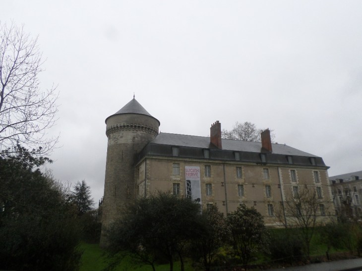 SAMSUNG CAMERA PICTURES