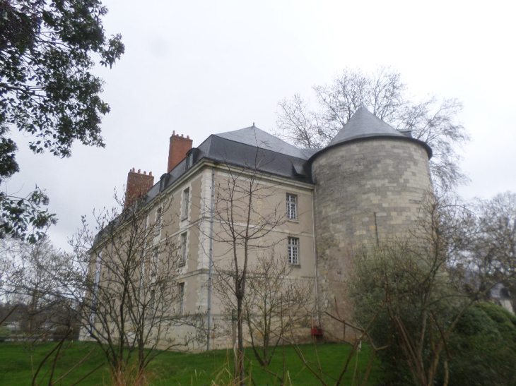 SAMSUNG CAMERA PICTURES