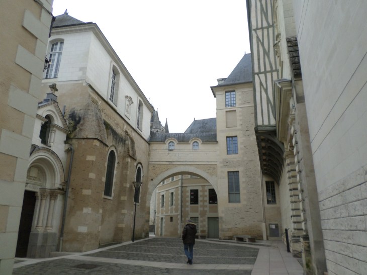 SAMSUNG CAMERA PICTURES