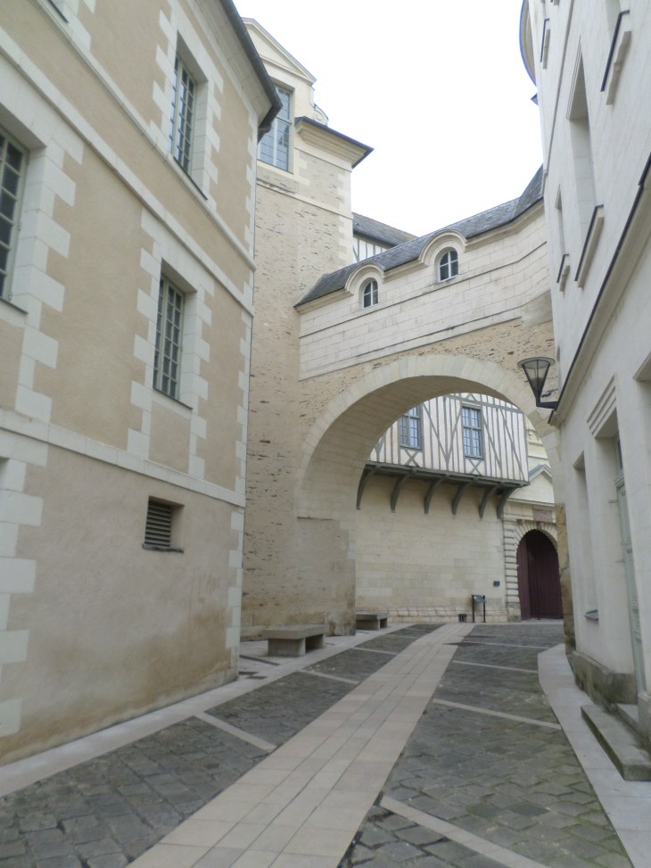 SAMSUNG CAMERA PICTURES