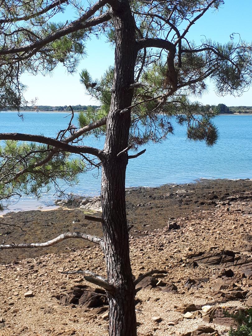 baden-pointe-du-blaire-chemin-to-harbor-sep19