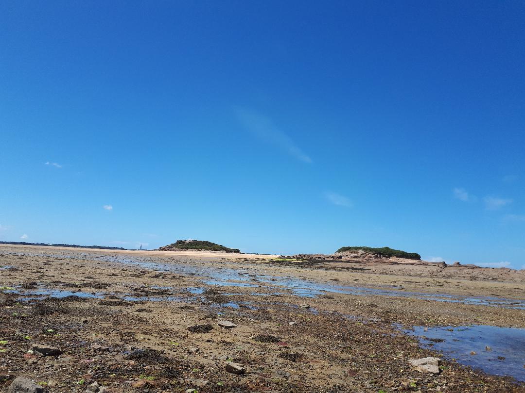 Carantec ile callot hills low tide jun22