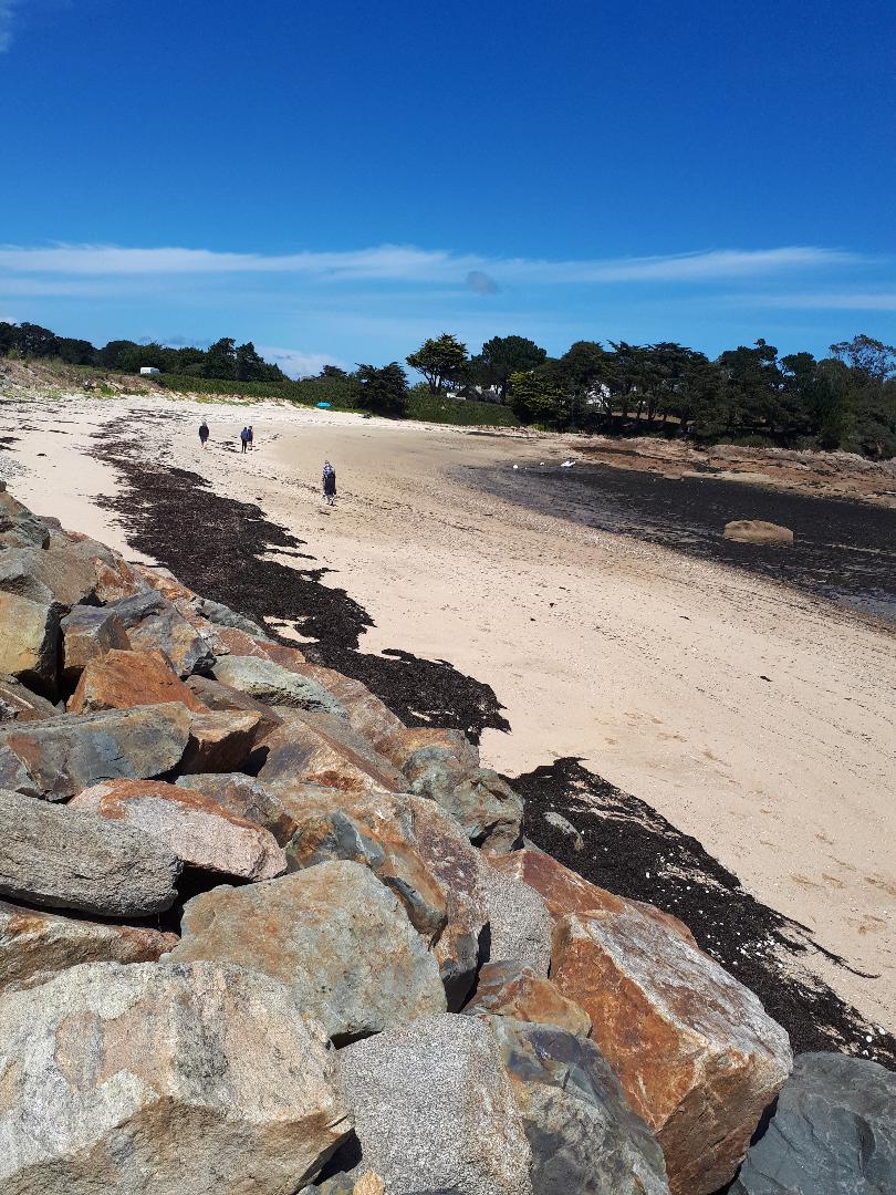 Carantec ile callot plage sand jun22