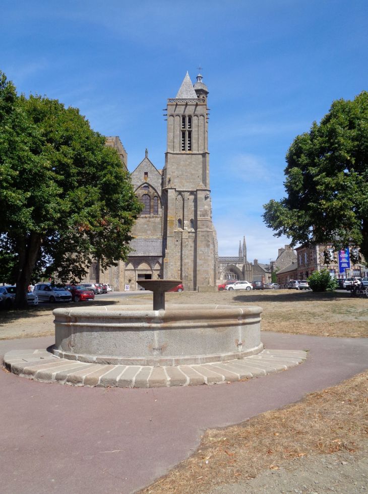 Dol de Bretagne fountain to cat st samson jul22