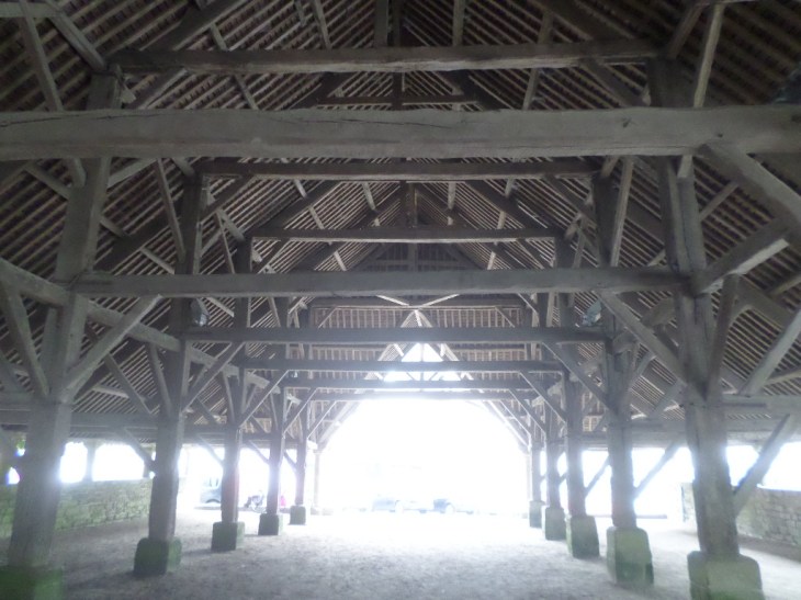 SAMSUNG CAMERA PICTURES