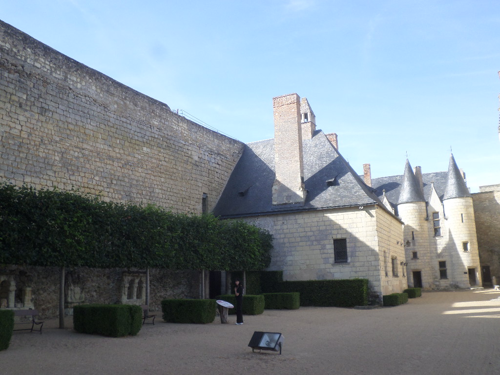 SAMSUNG CAMERA PICTURES