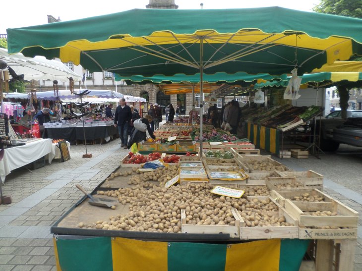 SAMSUNG CAMERA PICTURES