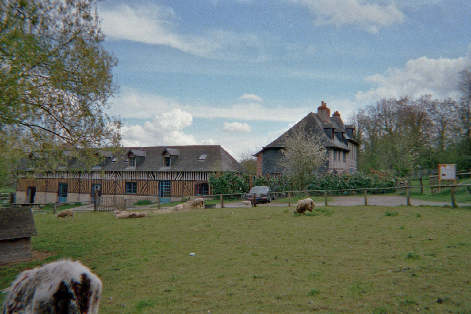 Pierrefitte En Auge domaine du Houvre farm sheeps bel air trip apr11