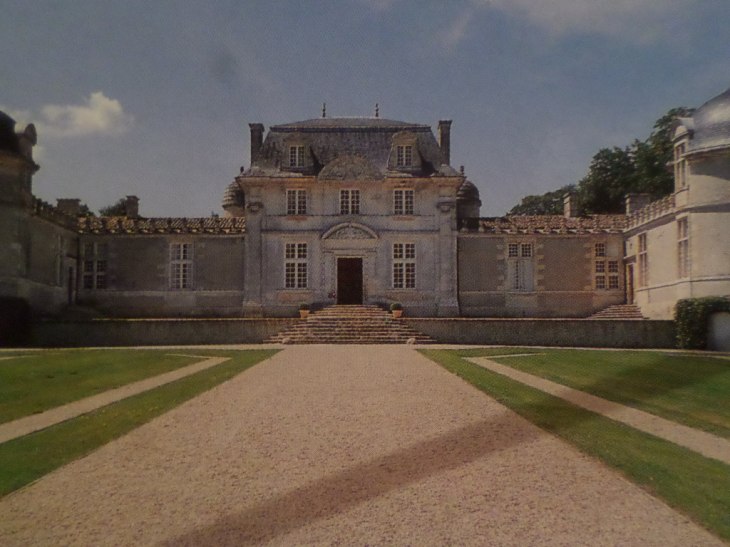 SAMSUNG CAMERA PICTURES