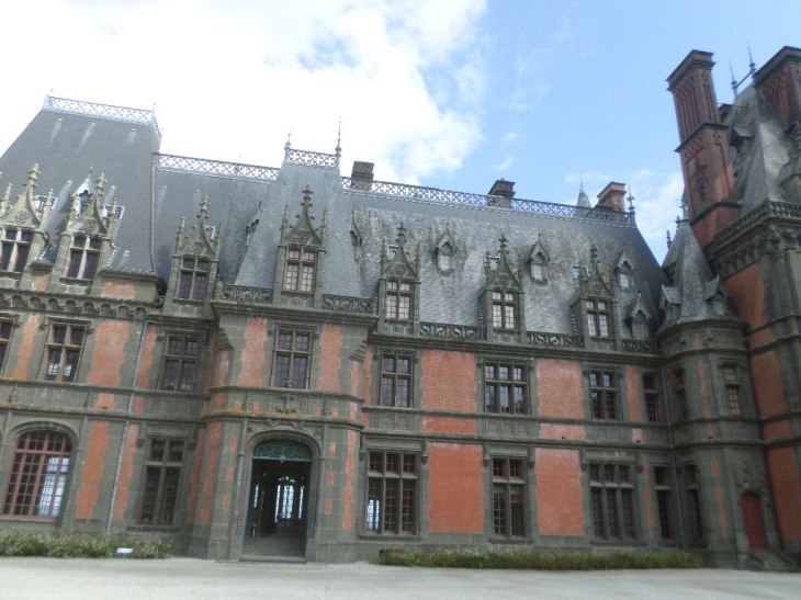 SAMSUNG CAMERA PICTURES